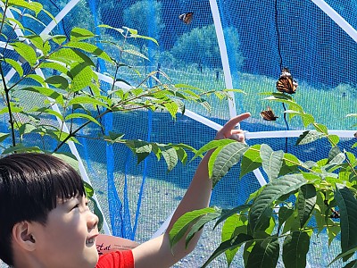 2025 녹색자금 효과증진형 숲체험교육 이야기 - 6월, 숲에서 배우고 바다에서 느낀 자연의 말들