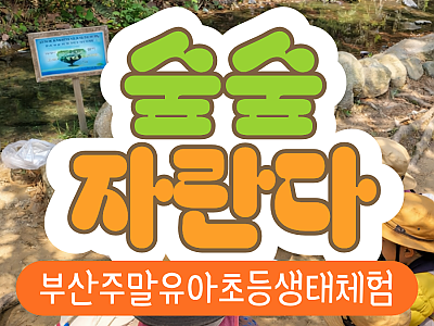 [숲숲자란다] 로프앤조이 부산 주말 숲체험 프로그램
